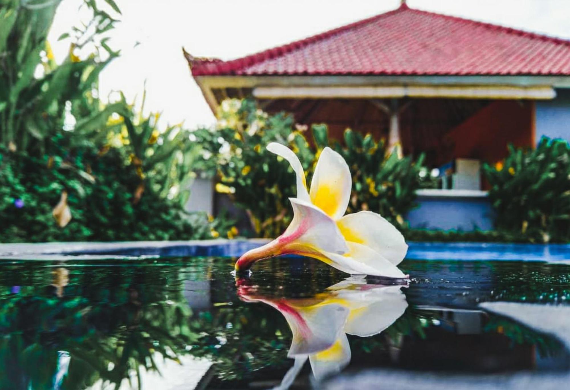 Hokita Home Stay Lembongan Buitenkant foto